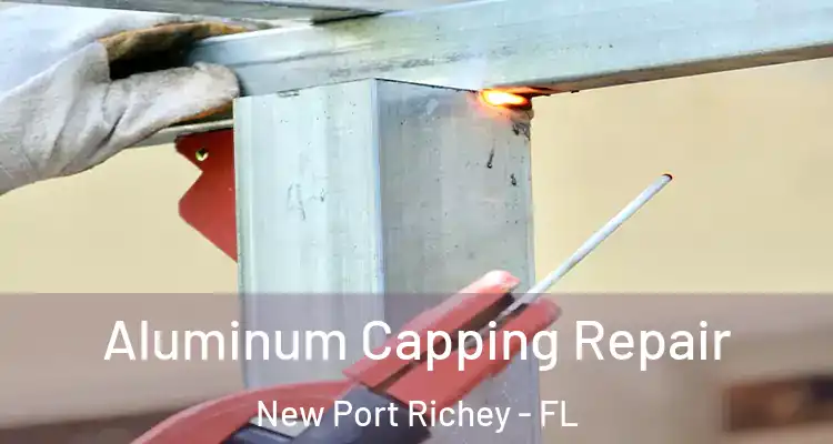  Aluminum Capping Repair New Port Richey - FL