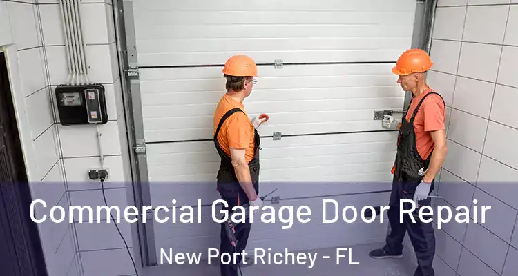  Commercial Garage Door Repair New Port Richey - FL