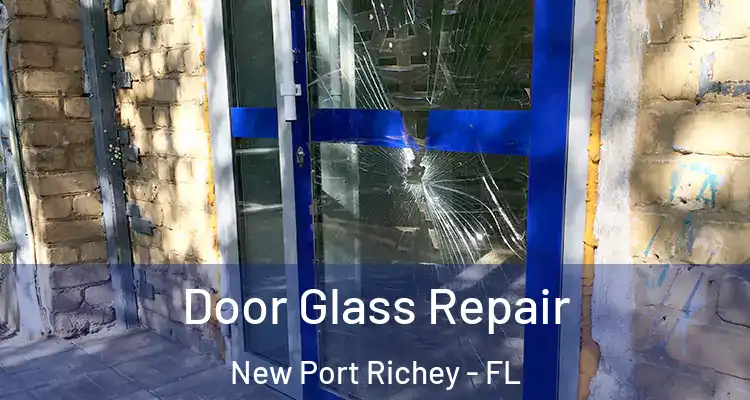  Door Glass Repair New Port Richey - FL