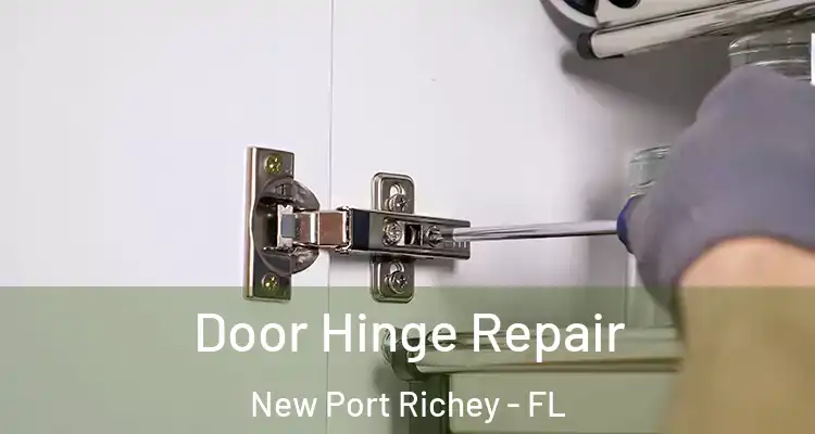  Door Hinge Repair New Port Richey - FL