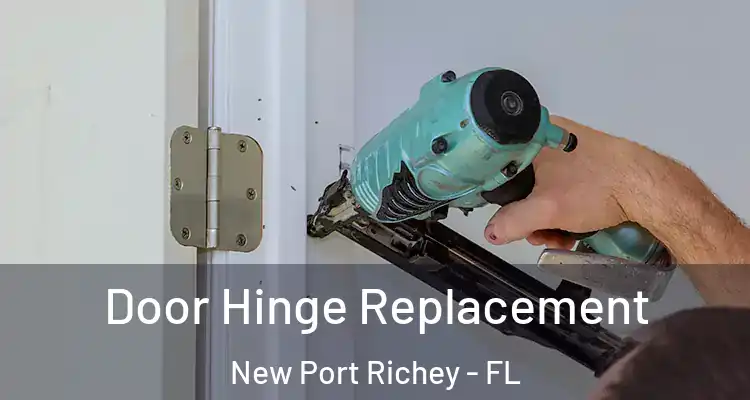  Door Hinge Replacement New Port Richey - FL