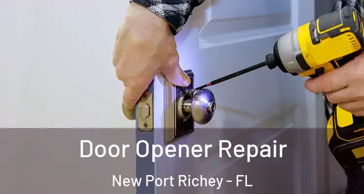  Door Opener Repair New Port Richey - FL