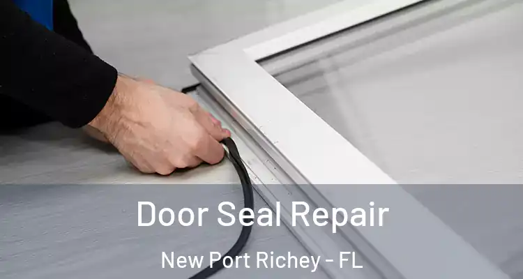  Door Seal Repair New Port Richey - FL