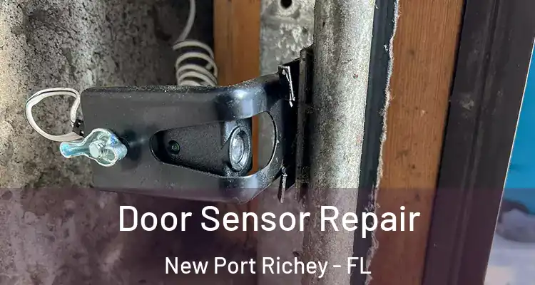 Door Sensor Repair New Port Richey - FL