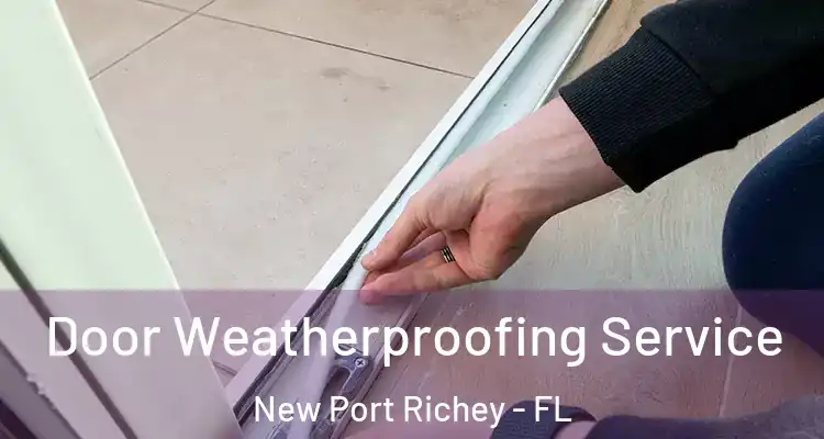  Door Weatherproofing Service New Port Richey - FL