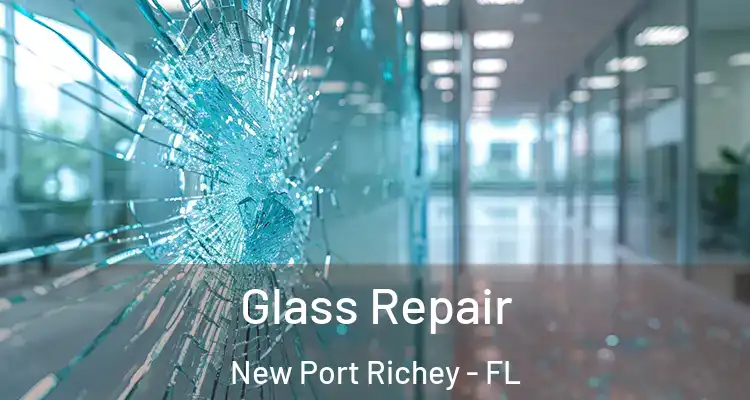  Glass Repair New Port Richey - FL