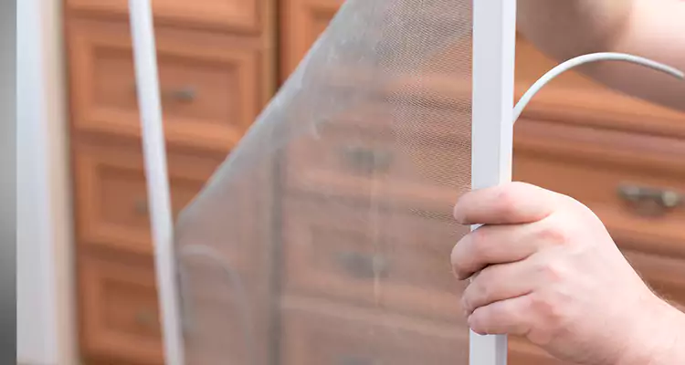 Privacy Mesh Screen Door Installation in New Port Richey, FL