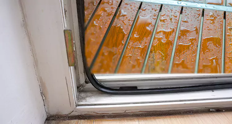 Water Leaking Wooden Patio Doors Repair in New Port Richey, FL