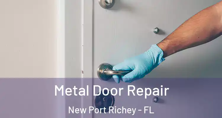  Metal Door Repair New Port Richey - FL