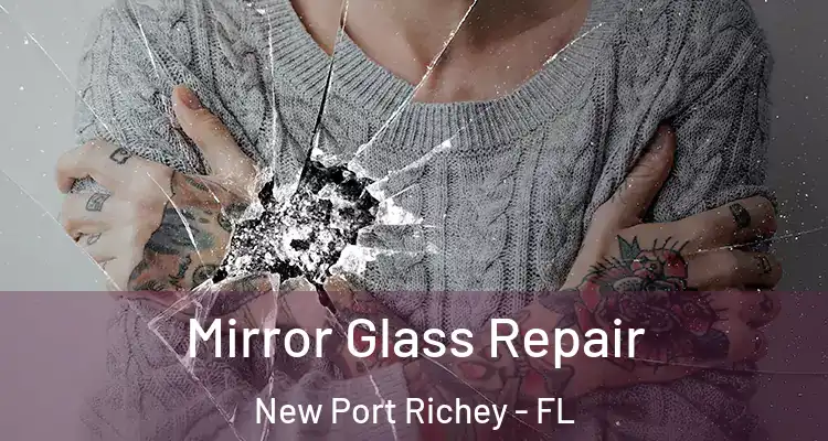  Mirror Glass Repair New Port Richey - FL