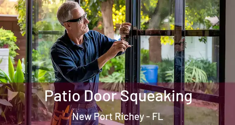  Patio Door Squeaking New Port Richey - FL