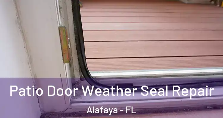  Patio Door Weather Seal Repair Alafaya - FL