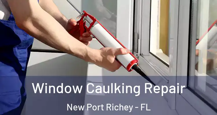  Window Caulking Repair New Port Richey - FL
