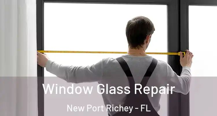  Window Glass Repair New Port Richey - FL
