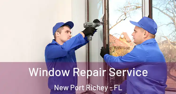  Window Repair Service New Port Richey - FL